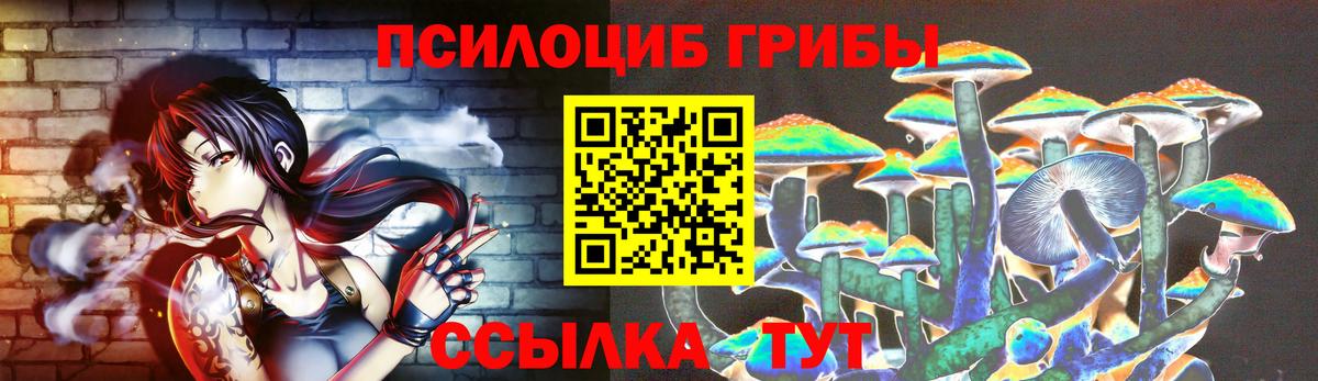 как найти закладки  Псилоцибиновые грибы Magic Shrooms  Мыски  Вход с VPN  Псилоцибиновые грибы мицелий 