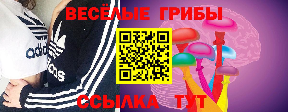 Галлюциногенные грибы мицелий Мыски